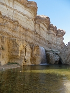 Manantial de Tamerza