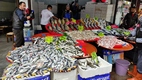 Bazares y mercados
