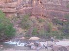 Zion National Park