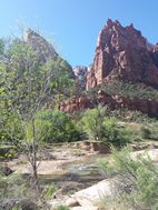 Zion National Park
