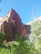 Zion National Park