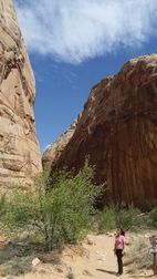 Capitol Reef National Park