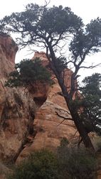 Arches National Park