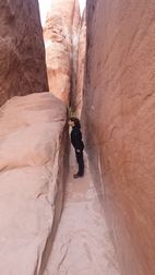 Arches National Park