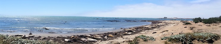A&ntilde;o Nuevo State Park