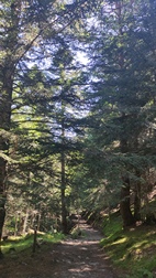 Ruta circular Arres de Sus
