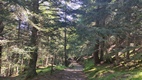 Ruta circular Arres de Sus