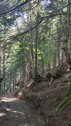 Ruta circular Arres de Sus