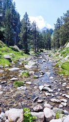 Ruta Circ de Colomrs