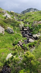 Ruta Circ de Colomèrs