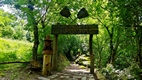 Camin dera bruisha